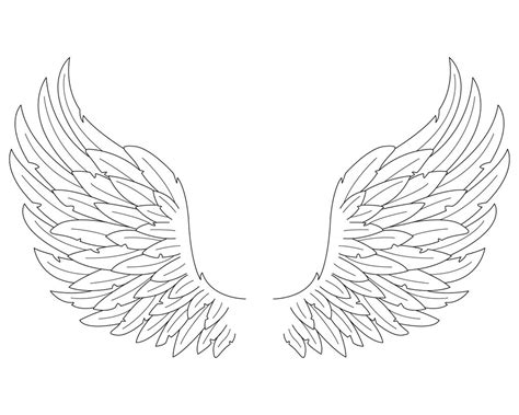 Simple Wing Drawing at GetDrawings | Free download