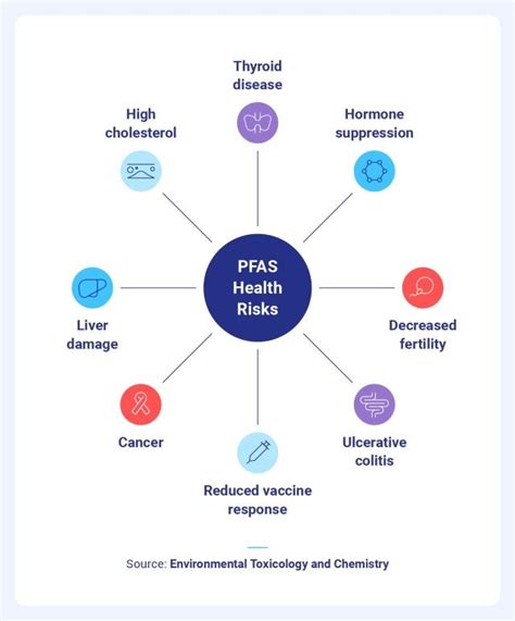 Take Action Against PFAs In Cosmetics Now – Never Say Die Beauty