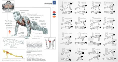 Strong Muscle Defining Push Up Workout With 5 Exercises - GymGuider.com