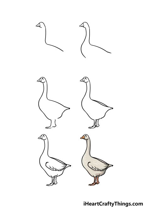 How to Draw Goose Step by Step - Rocha Noreed48