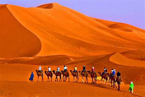 Caravan embarks on a trip on the Sahara Desert in Morocco | Smithsonian ...