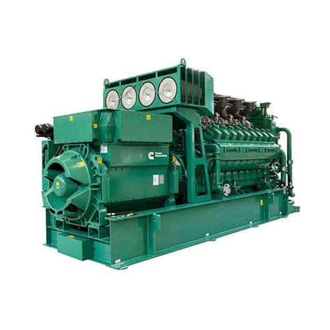 China Biogas Generator Manufacture and Factory | Tontek