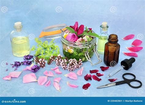 Natural Herbal Medicine for Naturopathic Remedies Stock Image - Image of flora, infusion: 220482801