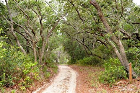 Bon Secour National Wildlife Refuge in Gulf Shores Alabama | Gulf ...