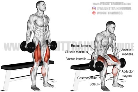 Dumbbell box squat instructions and videos | Weight Training Guide