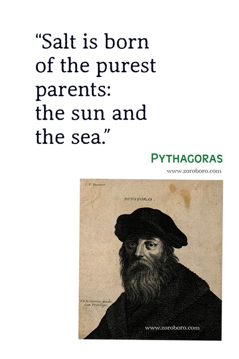 Pythagoras Quotes, Pythagoras Philosophy, Pythagoras Books Quotes, Pythagoras Image, Pythagoras ...