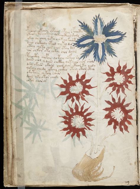 Voynich manuscript - Wikiwand