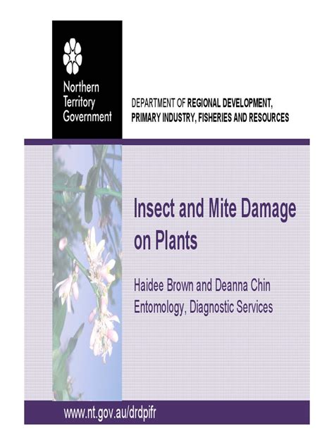 Lecture 4 - Insect and Mite Damage On Plants | PDF | Trees | Leaf