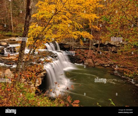 Brush Creek Falls in Pipestem State Park West Virginia Stock Photo - Alamy