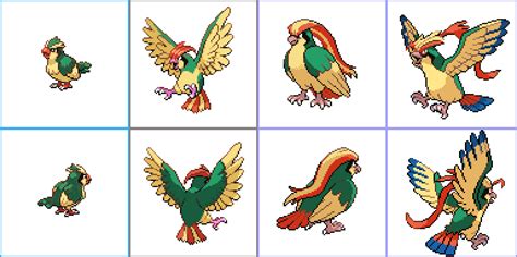 Pokemon Pidgey Evolution Chart