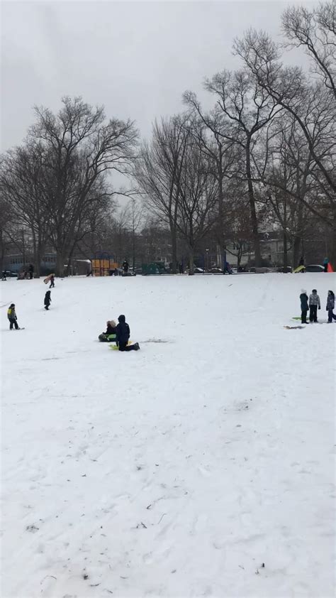 Clark Park for lunch. : r/philadelphia