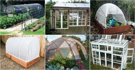 20 Free DIY Greenhouse Plans You’ll Want To Make Right Away - DIY & Crafts