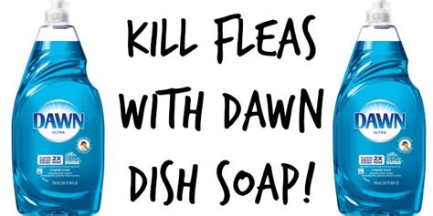 two bottles of dawn dish soap with the words kill fleas with dawn