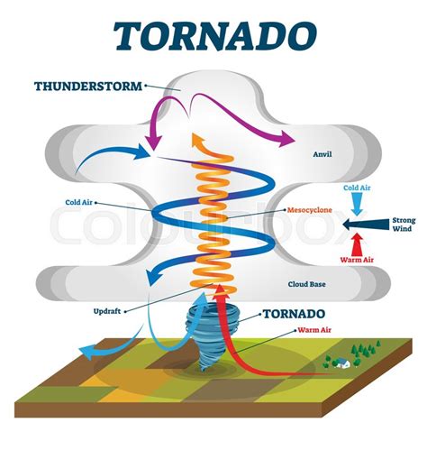 Tornado vector illustration. Labeled ... | Stock vector | Colourbox