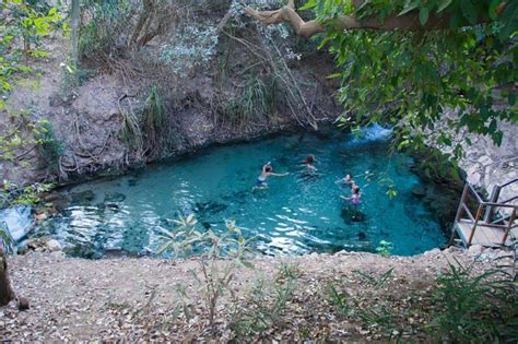 Katherine Hot Springs; are they actually amazing?