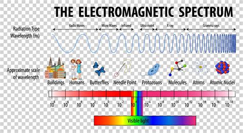 Science Electromagnetic Spectrum diagram 2036271 Vector Art at Vecteezy