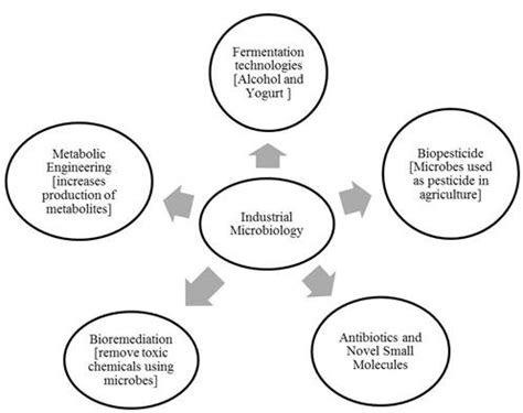 What is industrial microbiology ? Why is it important? | bartleby