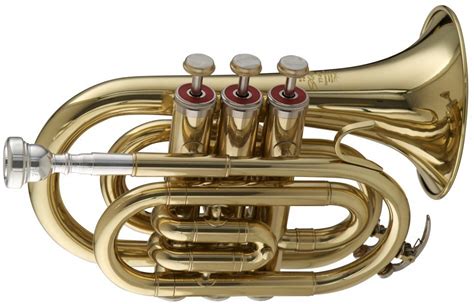 Best Pocket Trumpets Reviewed and Rated | TrumpetHub