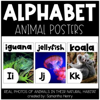 Alphabet Animal Posters featuring REAL PHOTOS by Samantha Henry