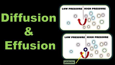 Diffusion and Effusion of Gases Definition ,Examples and Difference | State of Matter Gaseous ...