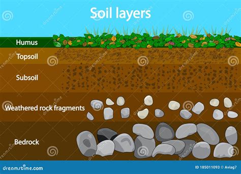 Soil Layers. Diagram Showing Soil Layers. Vector Illustration ...