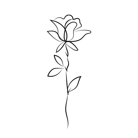 Rose Line Art, Rose Drawing, Rose Sketch, Line Art PNG and Vector with Transparent Background ...