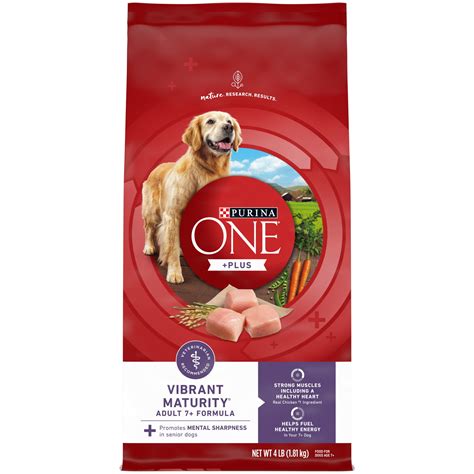 Best Dry Dog Foods For Senior Dogs | museosdelima.com