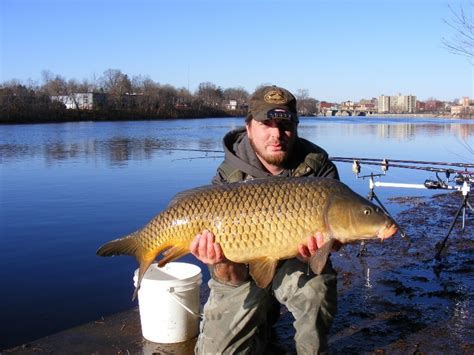 Merrimack River Fishing - MA Fish Finder