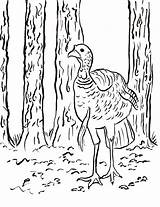 Collection Of Hunting Coloring Pages  Free Printable sketch template