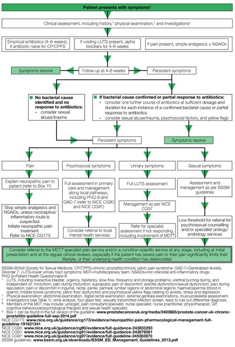 Bacterial Prostatitis and Prostatitis/Pelvic Pain Syndrome