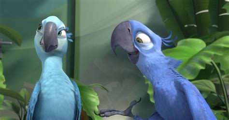 Blue macaw parrot that inspired "Rio" is now officially extinct in the wild - CBS News