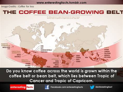 The coffee belt | Coffee beans, Coffee chart, Best coffee