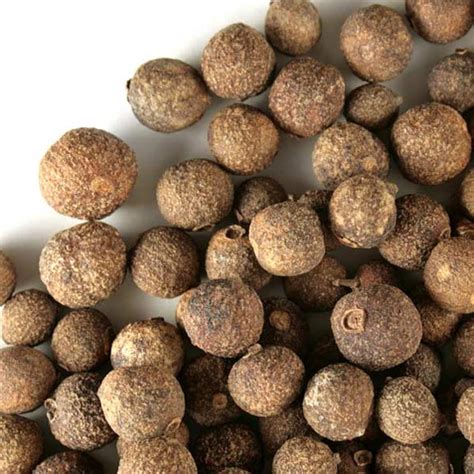 Buy Bulk Allspice (Mexican) Whole | Monterey Bay Herb Co