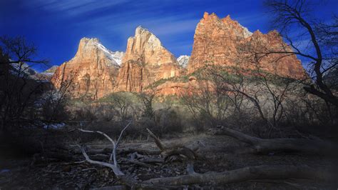 Download Cliff Tree Mountain Sky Nature Zion National Park 4k Ultra HD Wallpaper