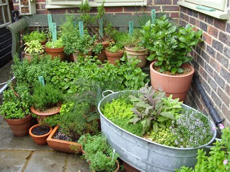 Ernie and I: Rodmell Open Gardens | Herb garden pots, When to plant vegetables, Container ...