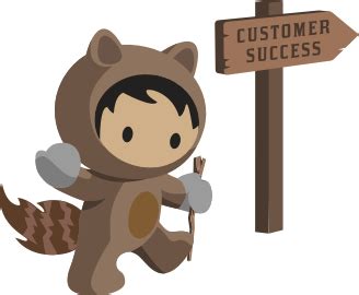 What are the Salesforce Characters?