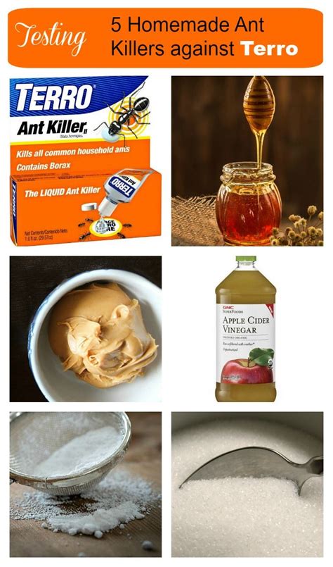 I recently test five Borax ant killers against the retail product Terro ...