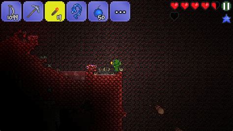 Demon conch terraria