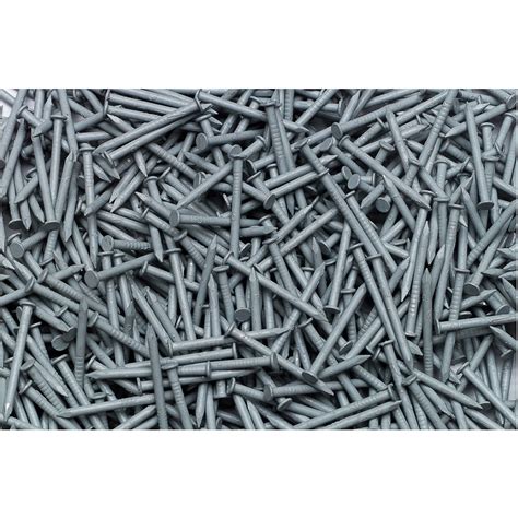 15-Gauge Stainless Steel Trim Nails (1-lb) at Lowes.com