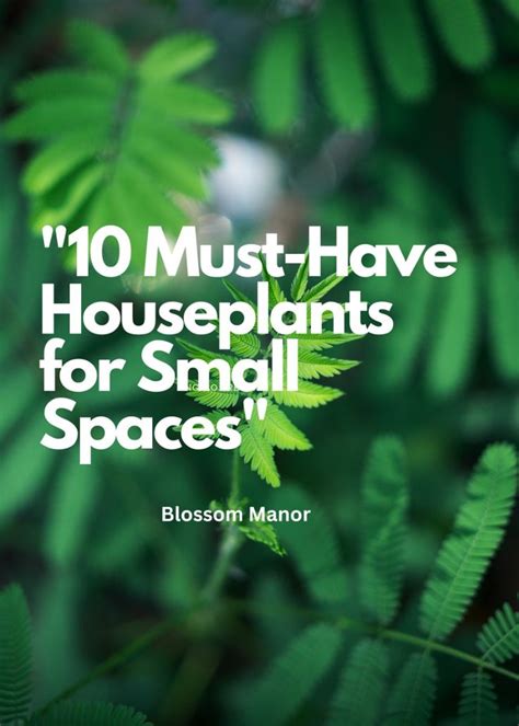 "10 Must-Have Houseplants for Small Spaces" in 2024 | Houseplants ...