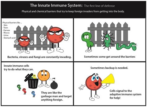 Engineering the Immune System // Bond Life Sciences Center