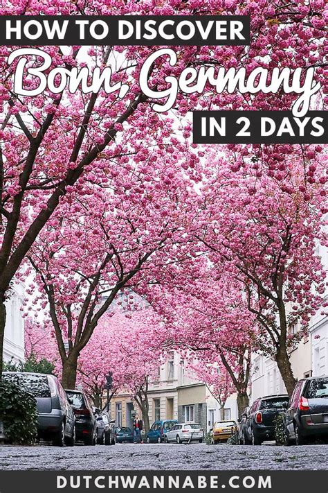 15 Exciting Things To Do In Bonn Germany In 2 Days - Dutch Wannabe