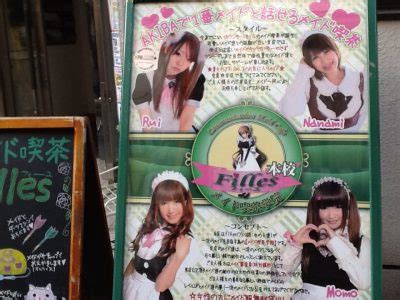 Akihabara Maid Cafes - Samurai Tours