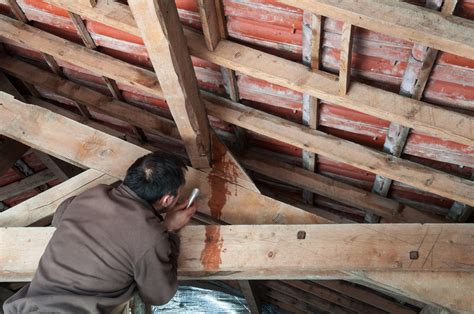 Top Causes of Mold in the Attic