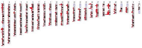 GitHub - eweitz/ideogram: Chromosome visualization for the web