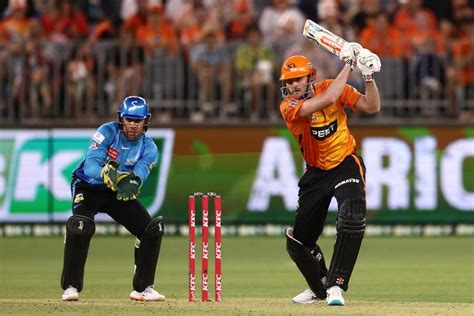 Big Bash League: Perth Scorchers road to the grand final as they sit ...