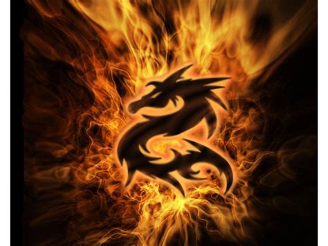 Fire Dragon Wallpapers - Wallpaper Cave