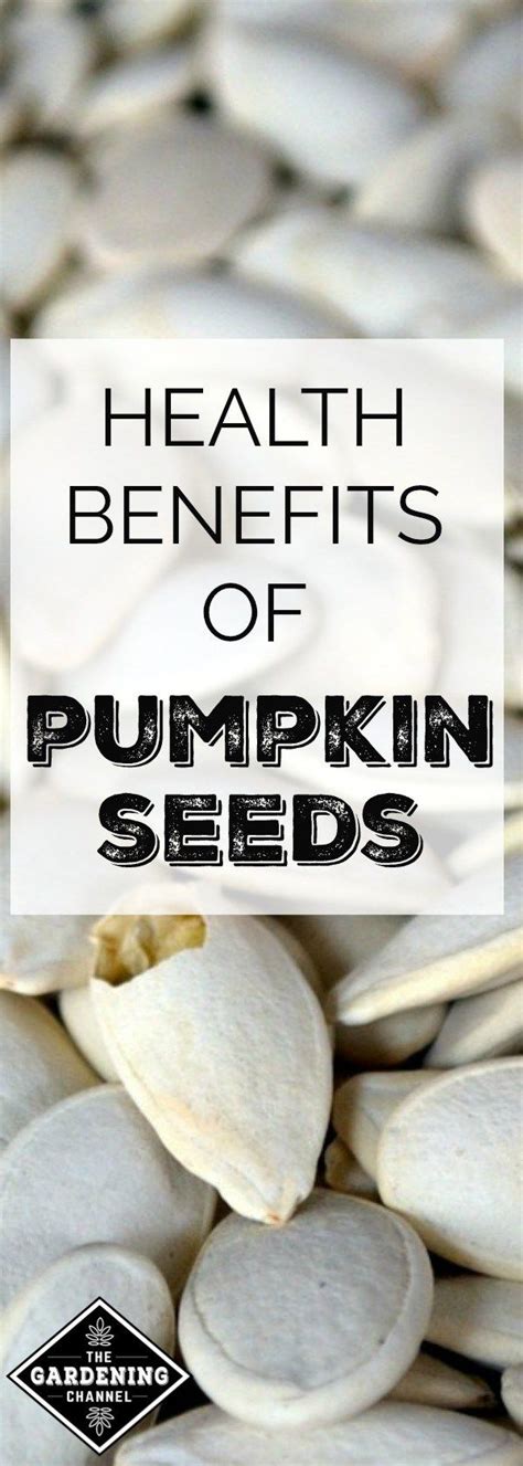 Health Benefits of Pumpkin and Pumpkin Seeds - Gardening Channel | Pumpkin seeds benefits ...