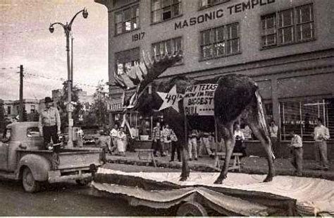 PIC 1959 Anchorage Statehood Celebration : r/alaska