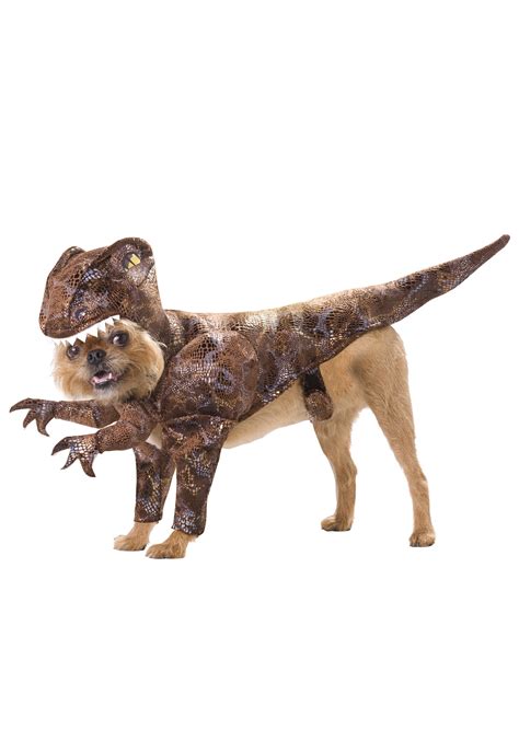 Pet Raptor Costume